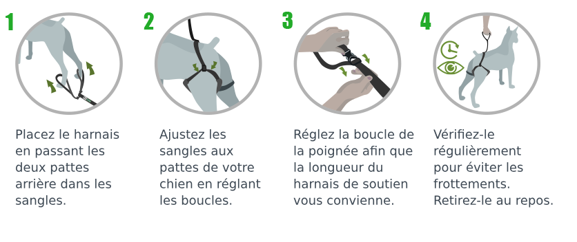 yo encontre a raul roberto